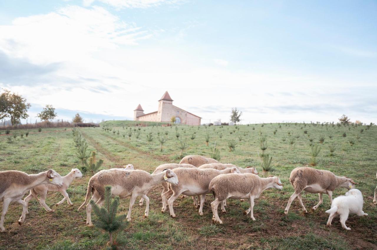 Отель Escons Domaine De Charme Saint-Sulpice-sur-Leze Экстерьер фото